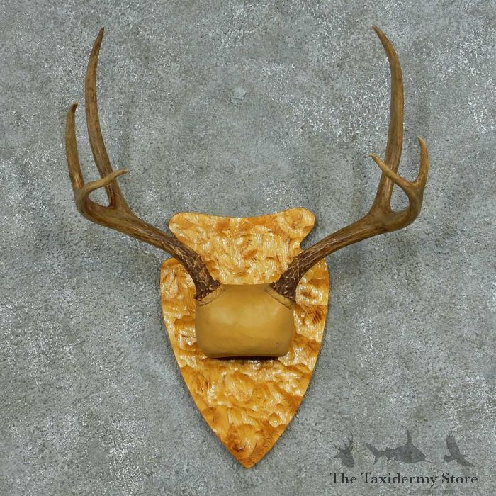 Barnwood Antler Plaque Taxidermy - taxidermys